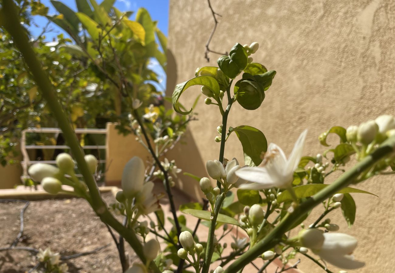 Chalet in Calp - Chalet Manzanera