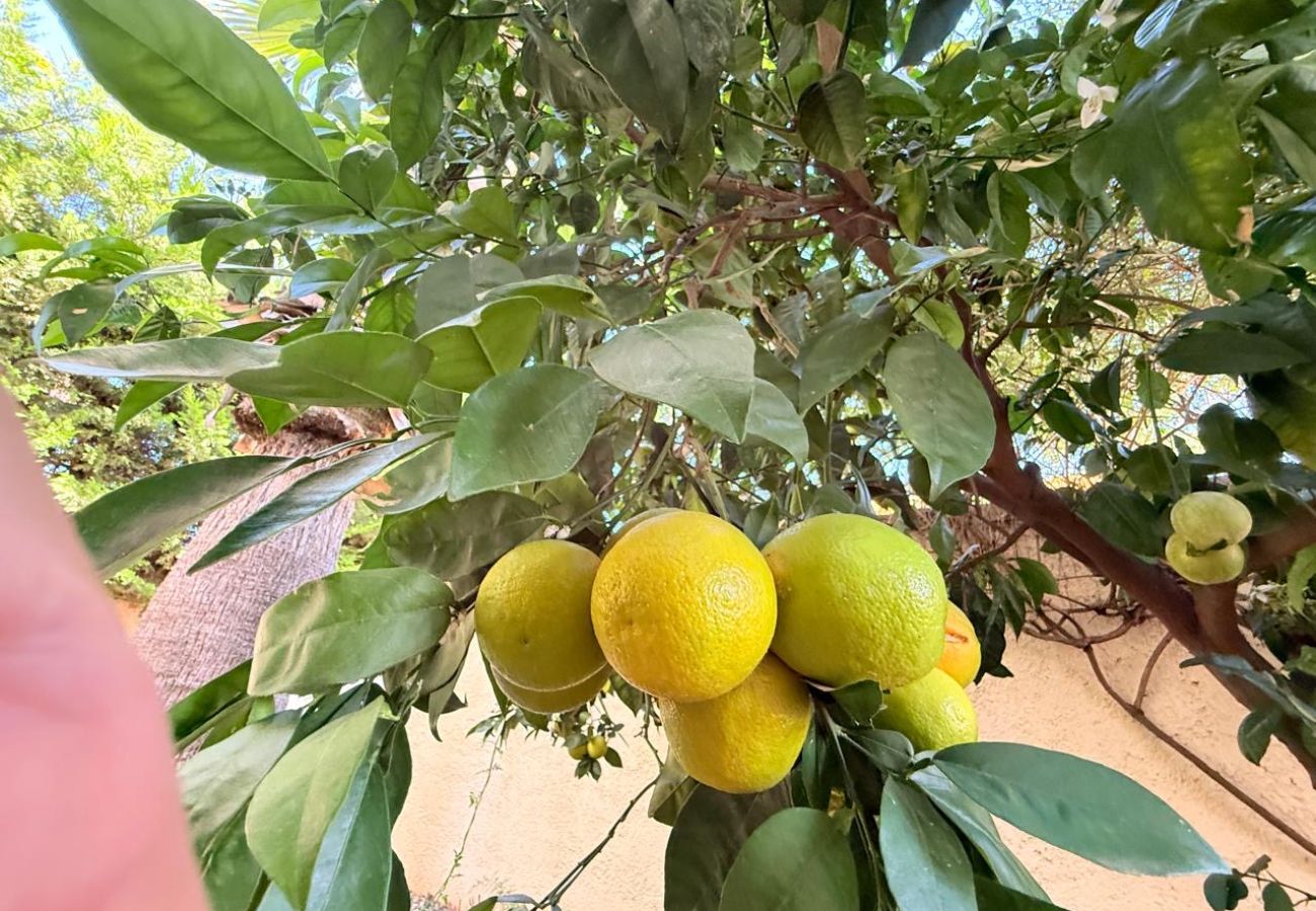 Вилла на Calpe - Villa Enchinent